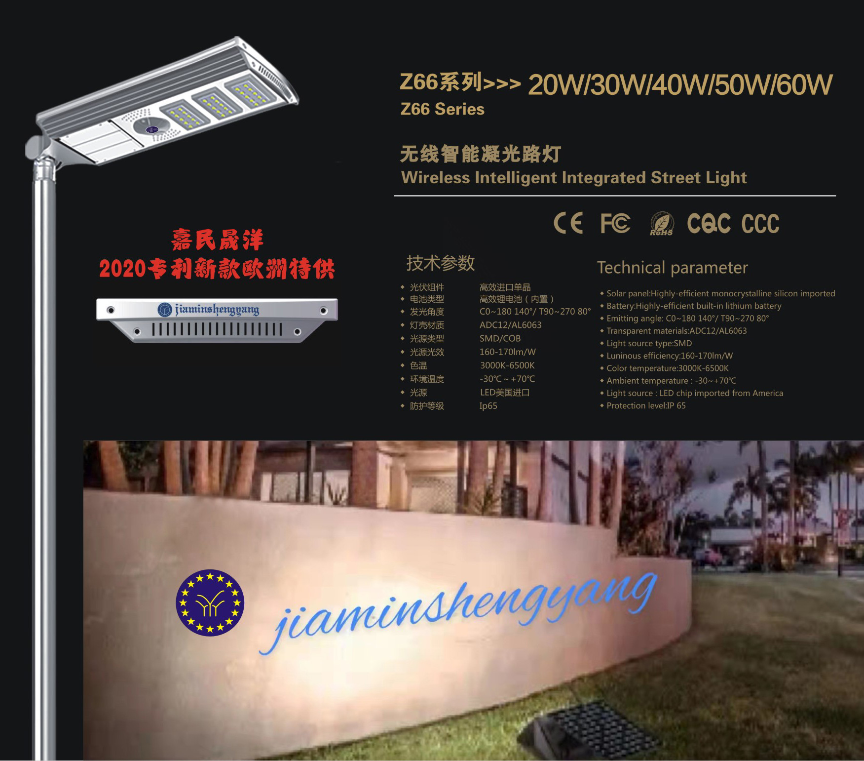 無(wú)線智能凝光路燈 Z66系列-20W/30W/40W/50W/60W